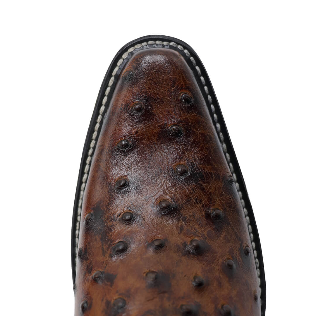 Bota Vaquera Punta de Pato de Avestruz CY802-OSS