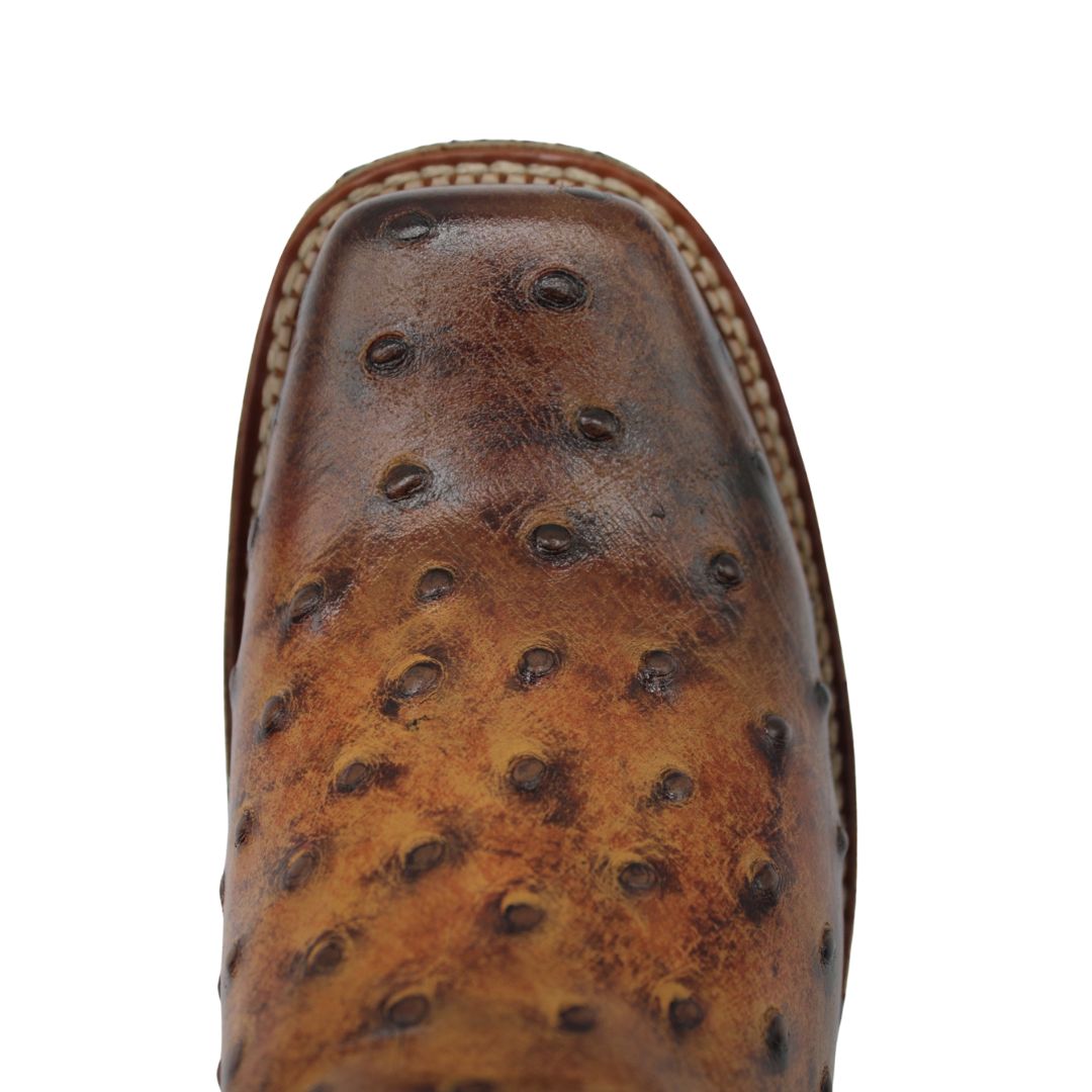 Bota Rodeo de Avestruz CY110-OSMV